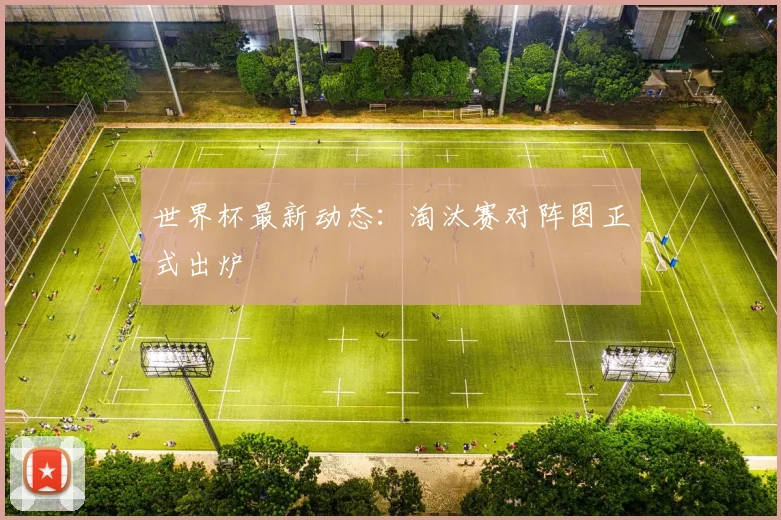 世界杯最新动态：淘汰赛对阵图正式出炉
